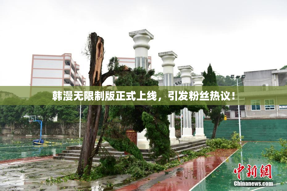 韩漫无限制版正式上线，引发粉丝热议！