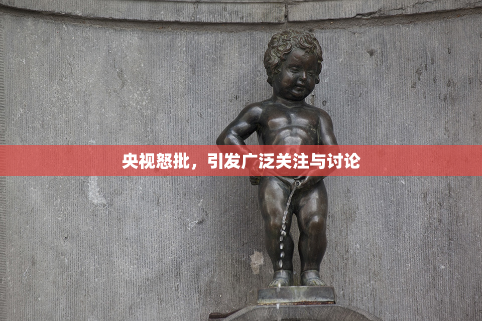 央视怒批，引发广泛关注与讨论
