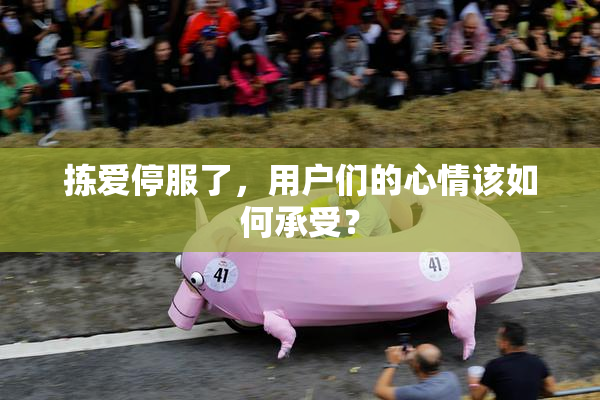 拣爱停服了，用户们的心情该如何承受？