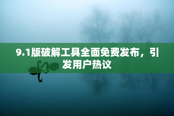 9.1版破解工具全面免费发布，引发用户热议
