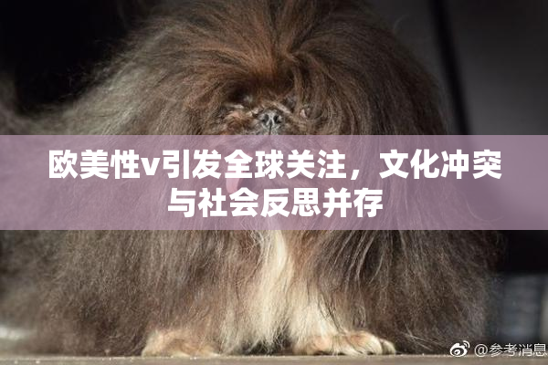 欧美性v引发全球关注，文化冲突与社会反思并存