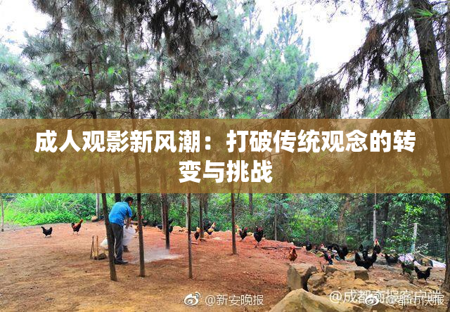 成人观影新风潮：打破传统观念的转变与挑战