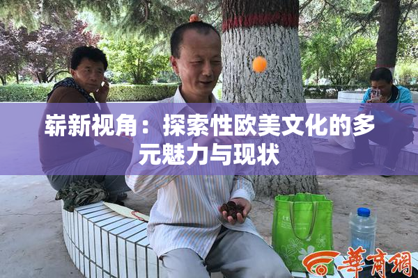 崭新视角：探索性欧美文化的多元魅力与现状