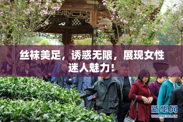 丝袜美足，诱惑无限，展现女性迷人魅力！