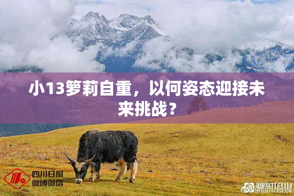小13箩莉自重，以何姿态迎接未来挑战？