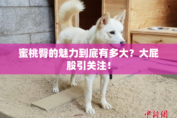 蜜桃臀的魅力到底有多大？大屁股引关注！