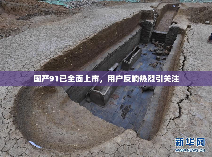 国产91已全面上市，用户反响热烈引关注