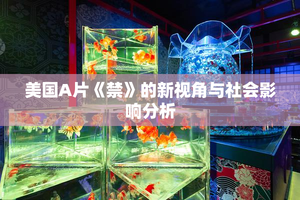 美国A片《禁》的新视角与社会影响分析