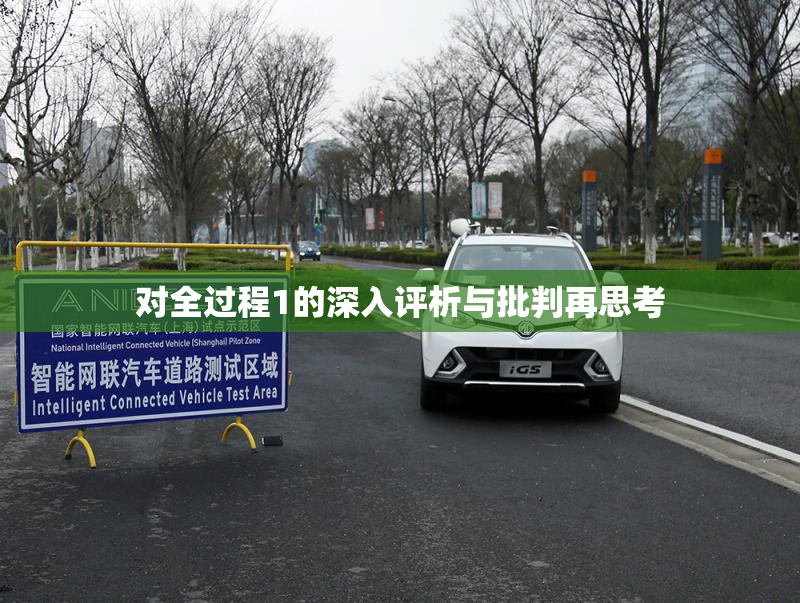 对全过程1的深入评析与批判再思考