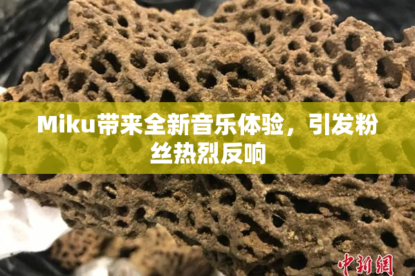 Miku带来全新音乐体验，引发粉丝热烈反响