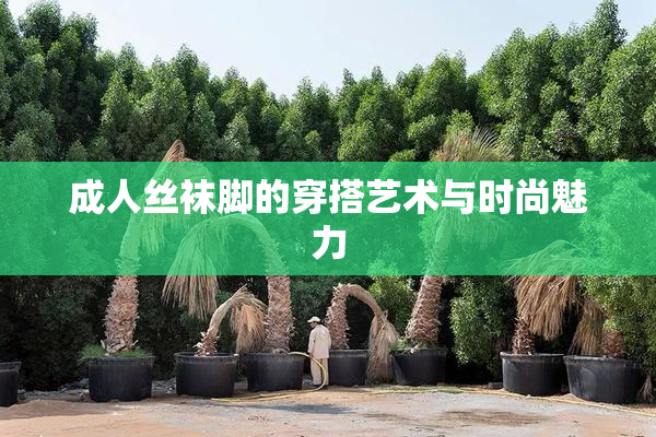 成人丝袜脚的穿搭艺术与时尚魅力