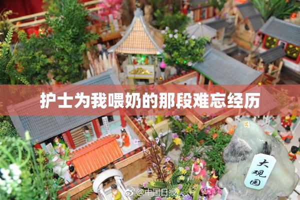 护士为我喂奶的那段难忘经历