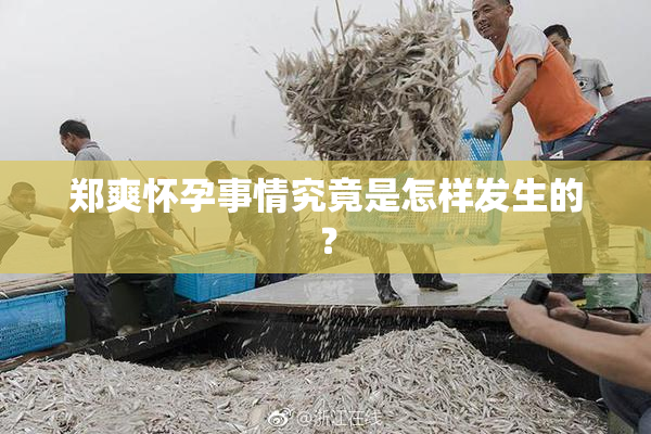 郑爽怀孕事情究竟是怎样发生的？