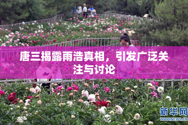 唐三揭露雨浩真相，引发广泛关注与讨论