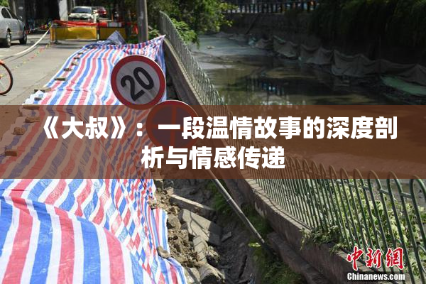 《大叔》：一段温情故事的深度剖析与情感传递