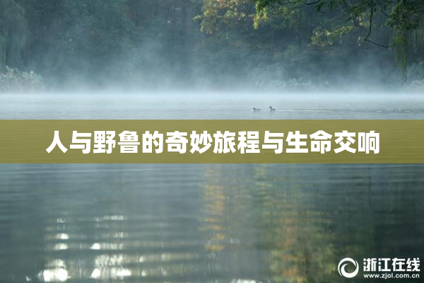人与野鲁的奇妙旅程与生命交响