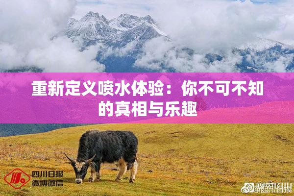 重新定义喷水体验：你不可不知的真相与乐趣