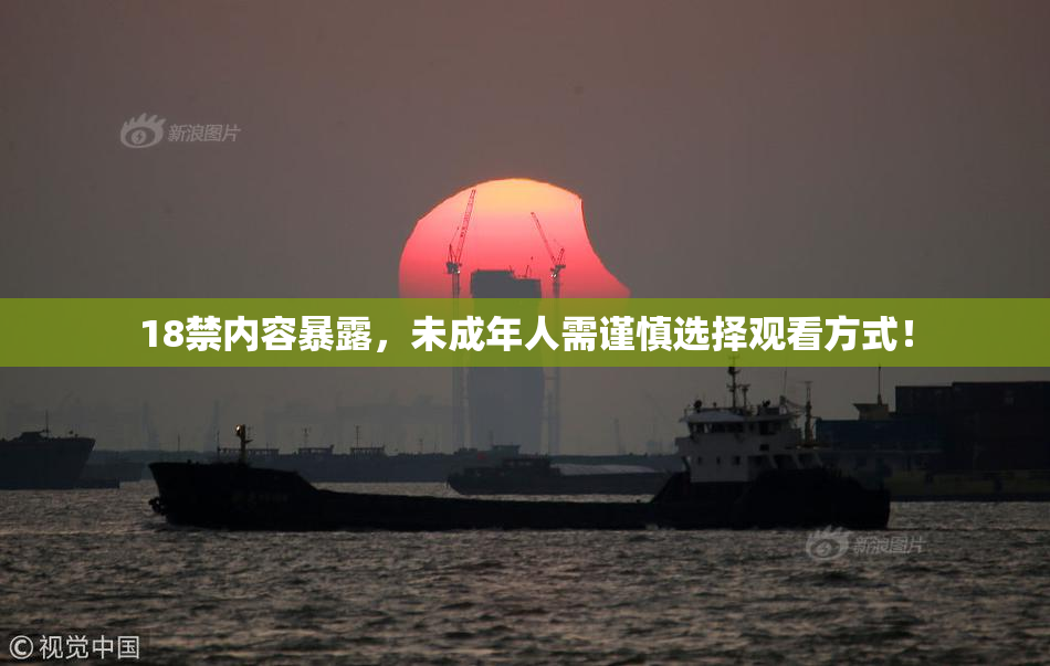 18禁内容暴露，未成年人需谨慎选择观看方式！