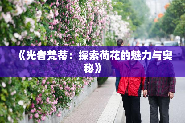 《光者梵蒂：探索荷花的魅力与奥秘》