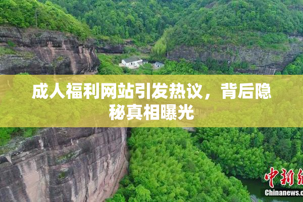 成人福利网站引发热议，背后隐秘真相曝光