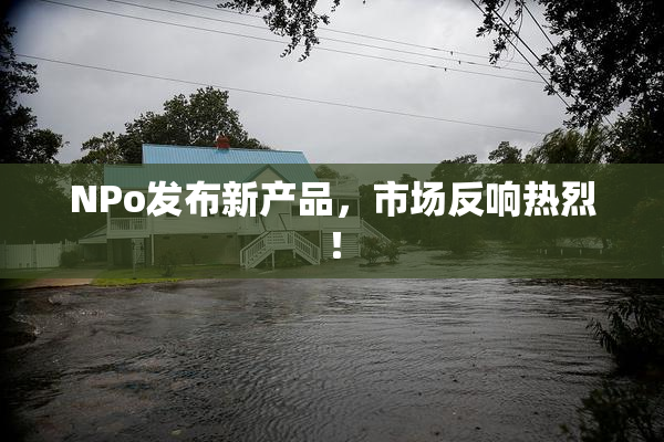 ΝPo发布新产品，市场反响热烈！
