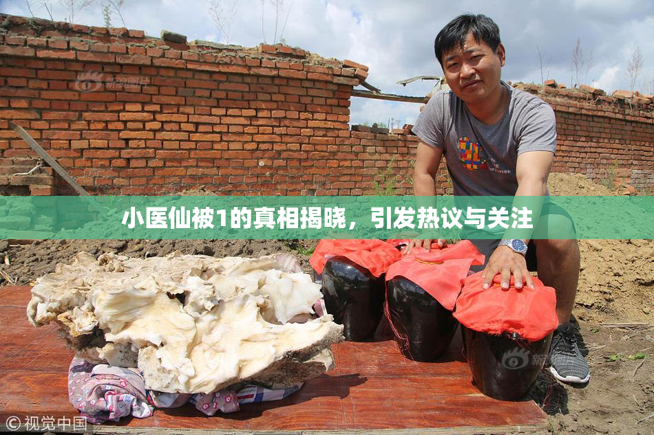 小医仙被1的真相揭晓，引发热议与关注