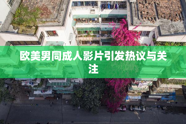 欧美男同成人影片引发热议与关注