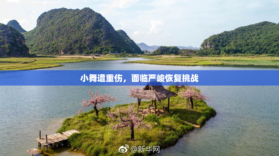 小舞遭重伤，面临严峻恢复挑战