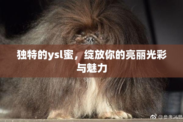 独特的ysl蜜，绽放你的亮丽光彩与魅力