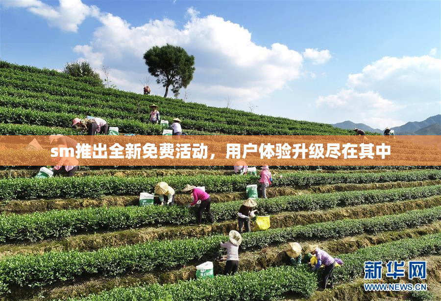 sm推出全新免费活动，用户体验升级尽在其中