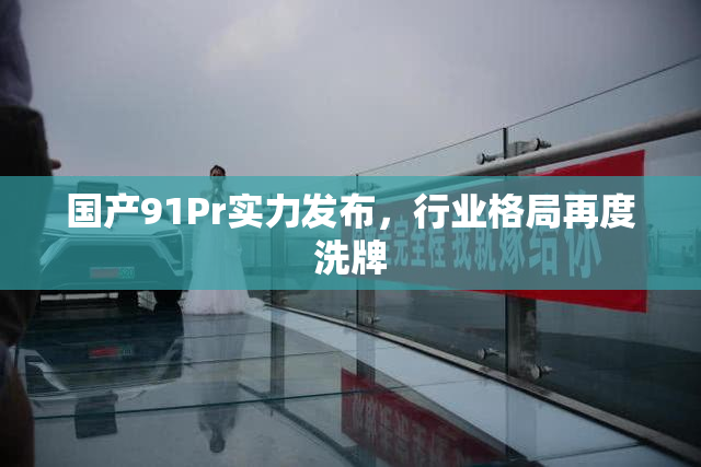 国产91Pr实力发布，行业格局再度洗牌