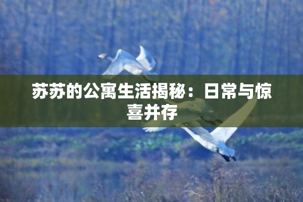苏苏的公寓生活揭秘：日常与惊喜并存