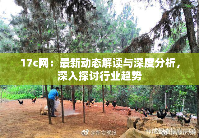 17c网：最新动态解读与深度分析，深入探讨行业趋势