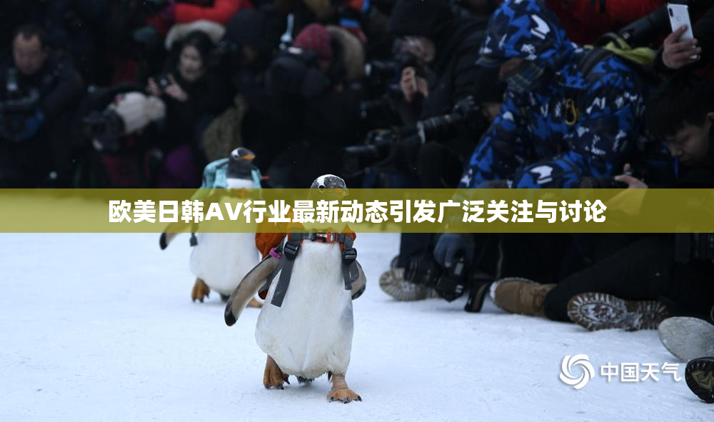 欧美日韩AV行业最新动态引发广泛关注与讨论