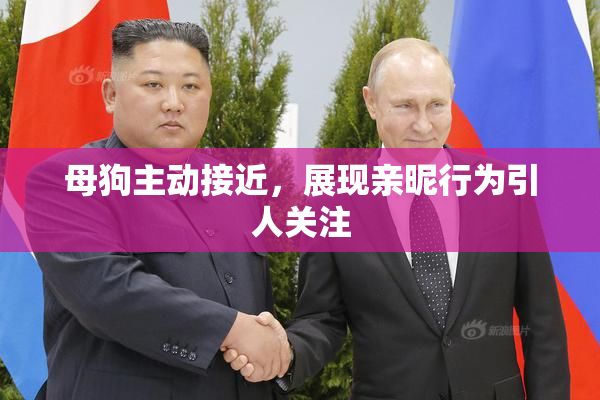 母狗主动接近，展现亲昵行为引人关注