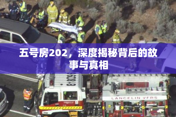 五号房202，深度揭秘背后的故事与真相