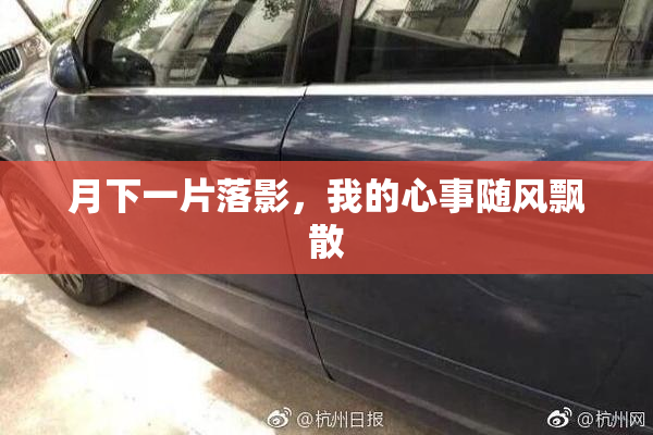 月下一片落影，我的心事随风飘散