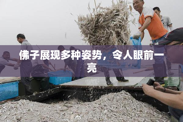佛子展现多种姿势，令人眼前一亮
