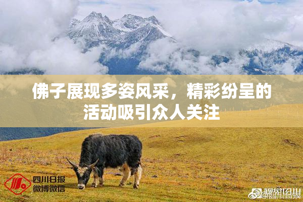 佛子展现多姿风采，精彩纷呈的活动吸引众人关注