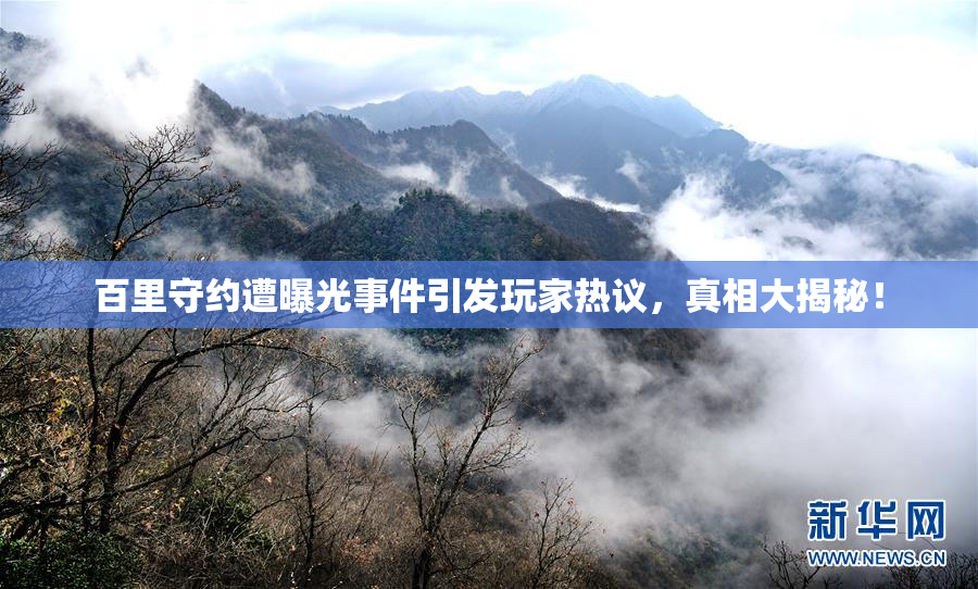 百里守约遭曝光事件引发玩家热议，真相大揭秘！