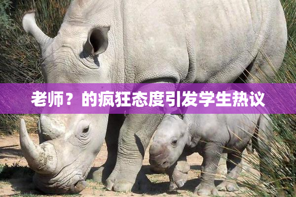 老师？的疯狂态度引发学生热议