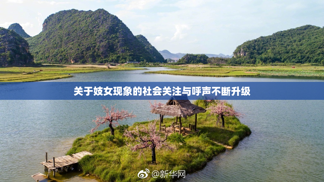 关于妓女现象的社会关注与呼声不断升级