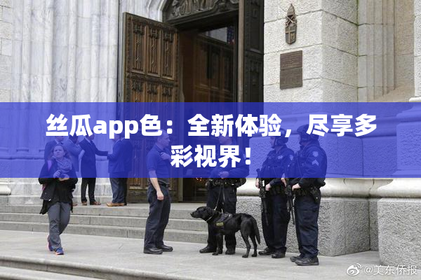 丝瓜app色：全新体验，尽享多彩视界！