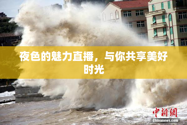 夜色的魅力直播，与你共享美好时光