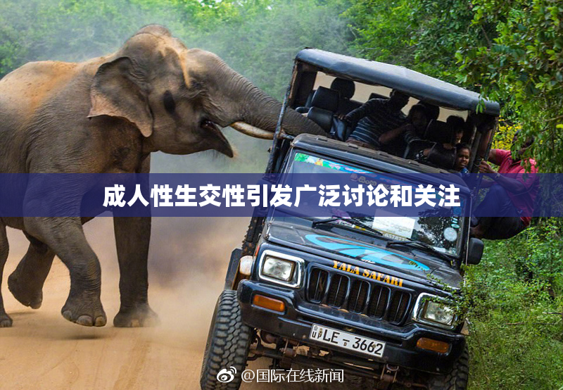 成人性生交性引发广泛讨论和关注