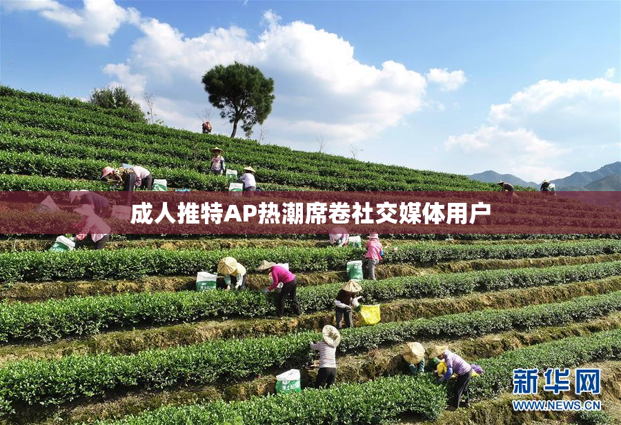 成人推特AP热潮席卷社交媒体用户