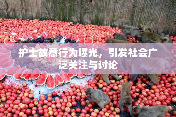 护士故意行为曝光，引发社会广泛关注与讨论