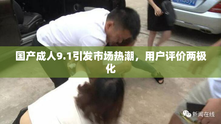 国产成人9.1引发市场热潮，用户评价两极化