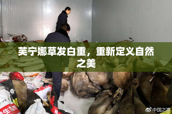 芙宁娜草发白重，重新定义自然之美
