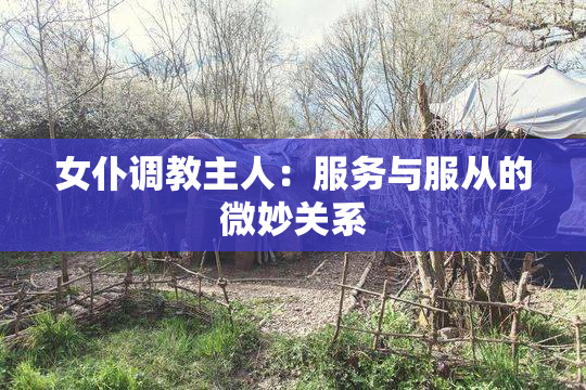 女仆调教主人：服务与服从的微妙关系